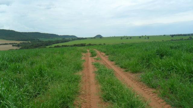 Fazenda de 67 alqueires para lavoura a venda na região de Paraúna GO - Foto 7