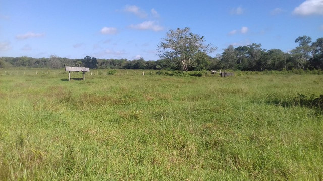Sítio no Pará,20 hectares com pasto, curral, casa ,igarape por 250 mil reais - Foto 12
