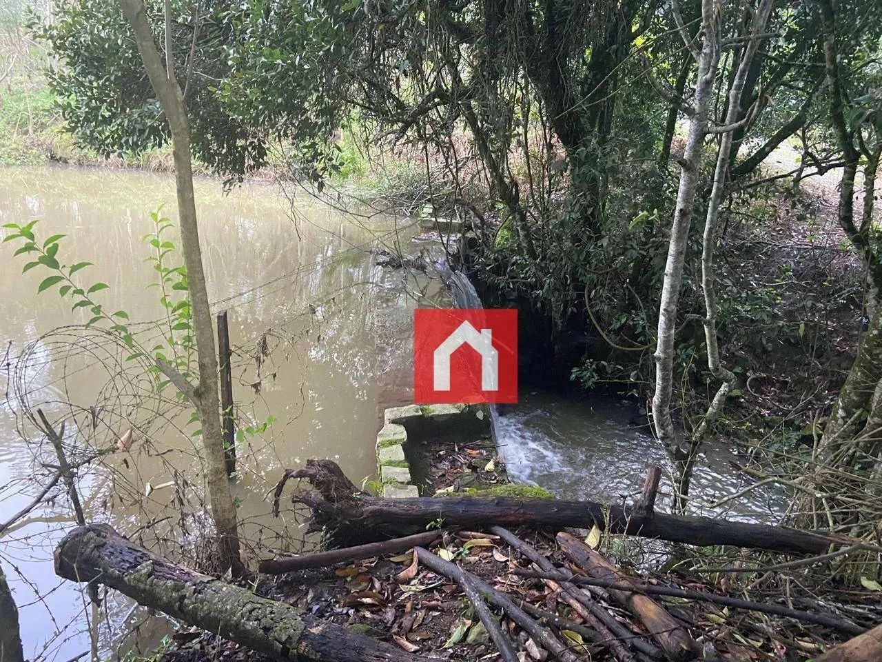 Belíssima chácara em Nova Sardenha!! - Foto 2