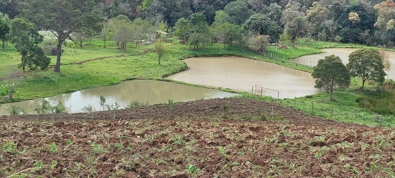 foto - Curitiba - Cajuru