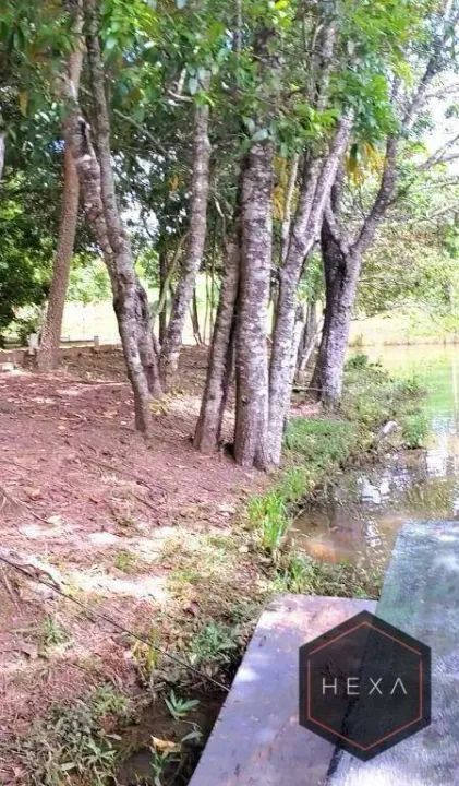 Terreno à venda, 520 m² Residencial Copacabana Abadia de Goiás/GO - Foto 5