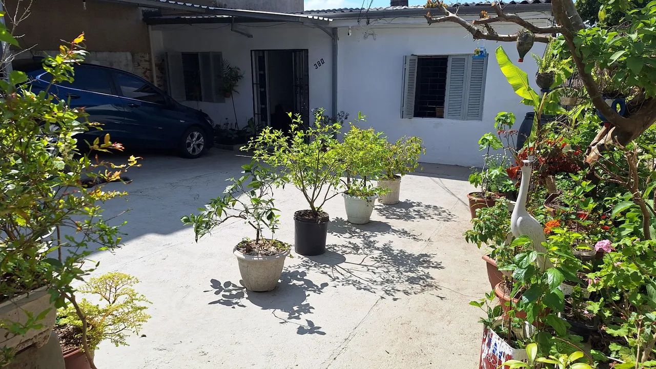 Foto - Porto Alegre - Jardim Carvalho