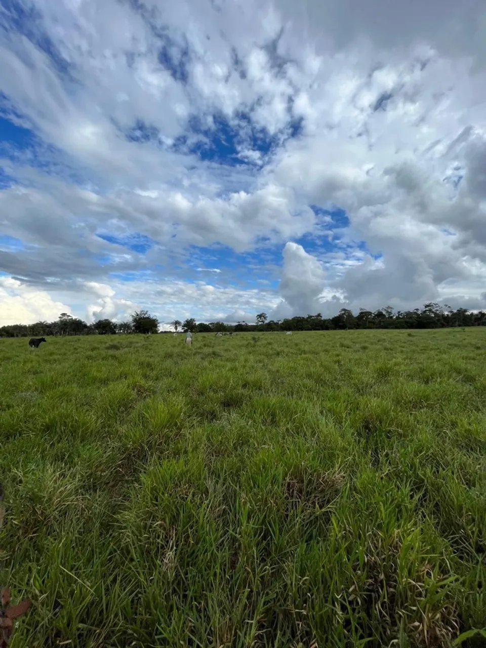 Fazenda em Mundo Novo - BA / Piritiba, Tapiramuta 304 tarefas!!