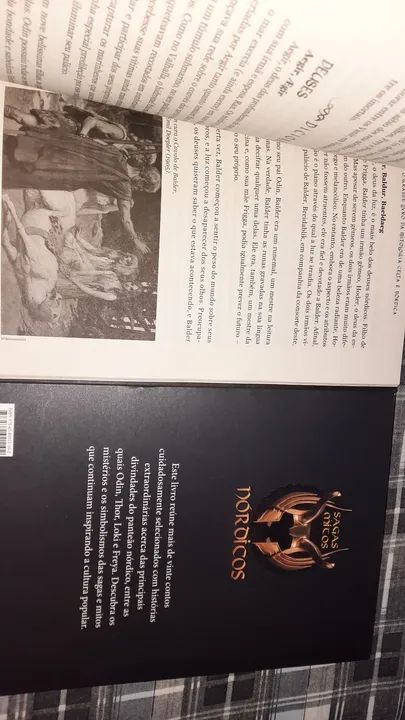 Livros Celta e Nórdica - Sagas e Mitos - Foto 3