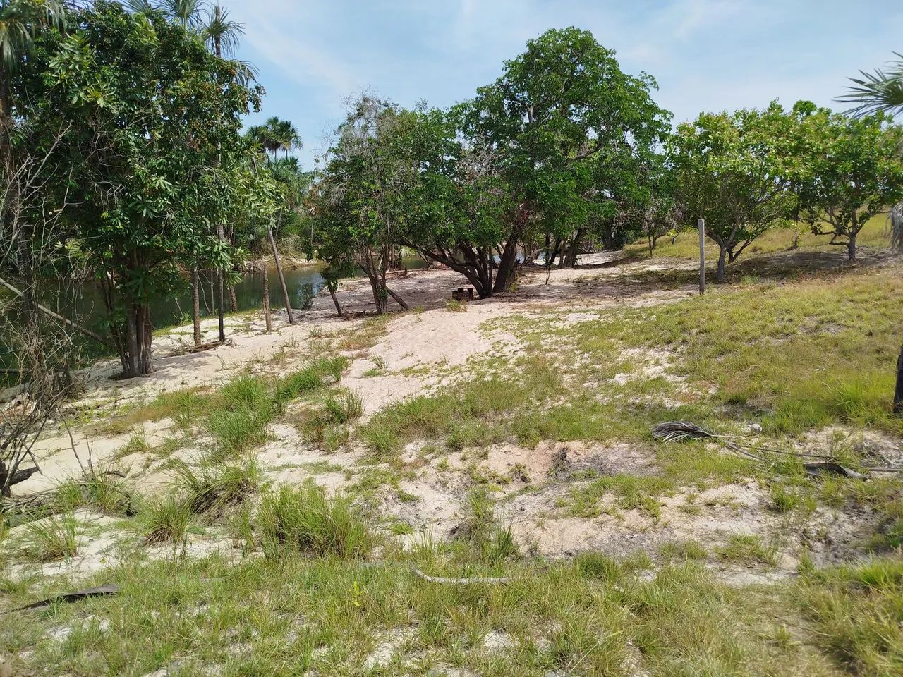 Vendo terrenos para chacara - Foto 5