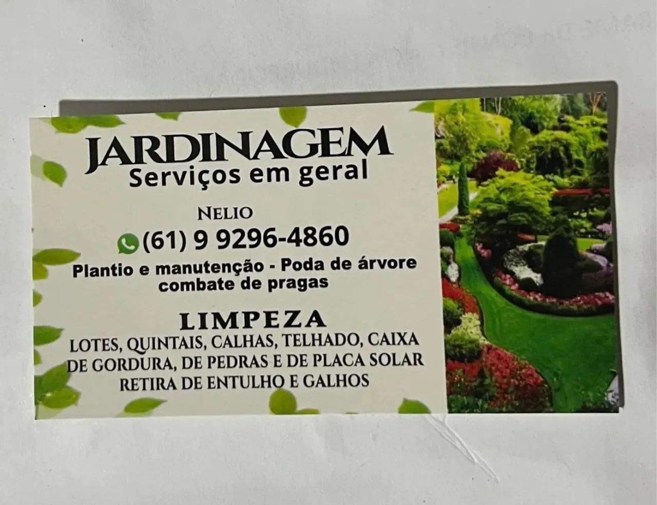 Jardinagem e paisagismo  - Foto 6