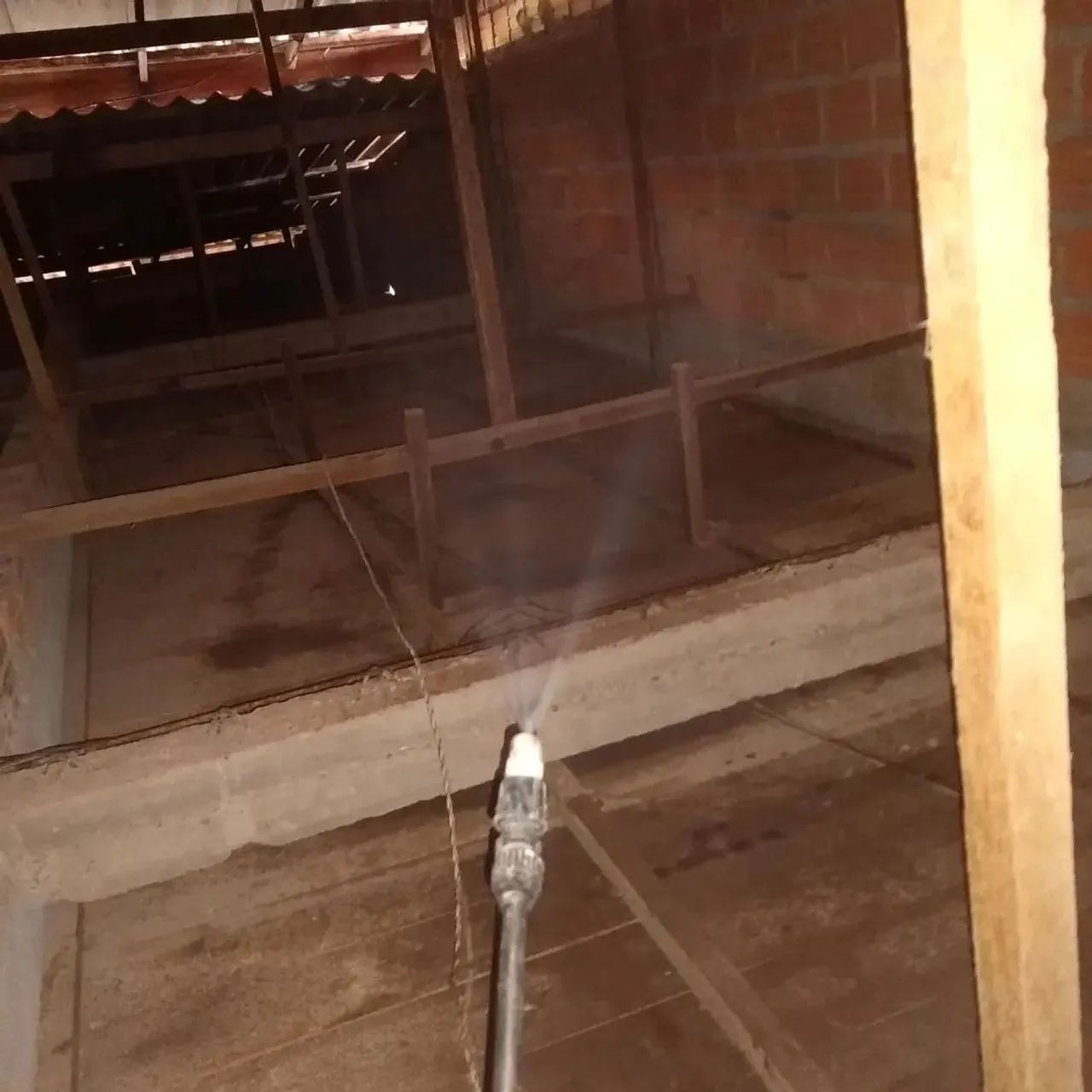 Gomes dedetização  - Foto 4