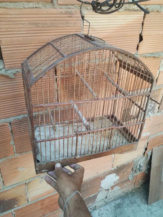 Lote gaiola barato  - Foto 4
