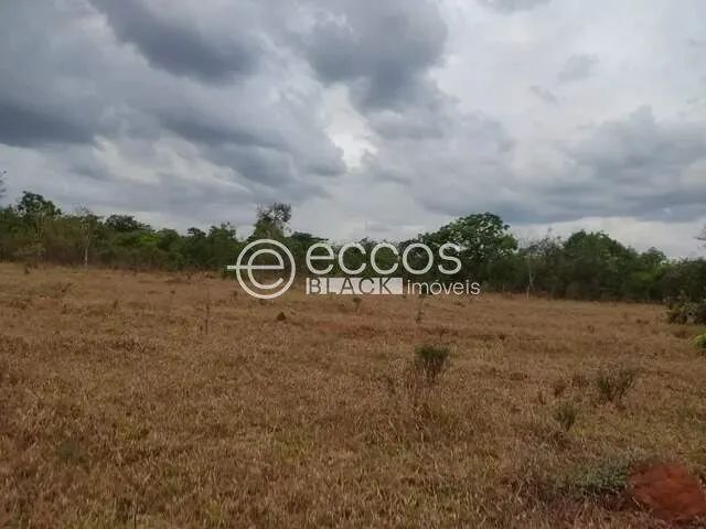 Fazenda à venda, 4 quartos, Miraporanga - Uberlândia/MG - Foto 5