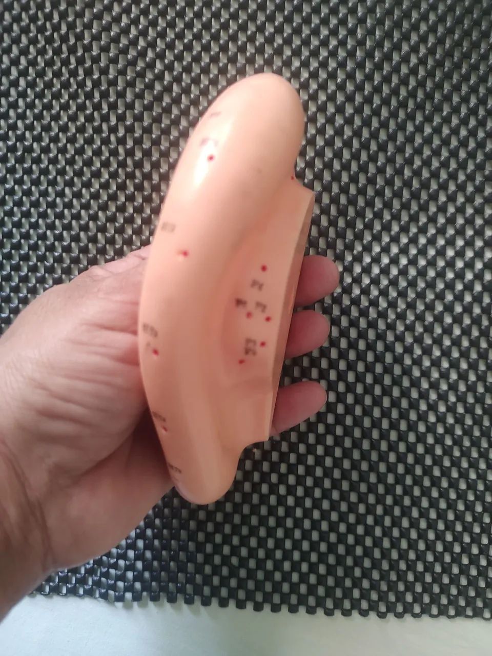 Modelo de Orelha de Acupuntura - Foto 3