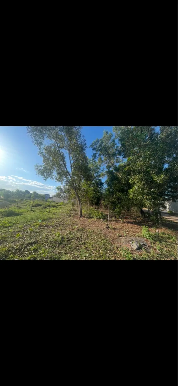 Lote a venda no centro hípico