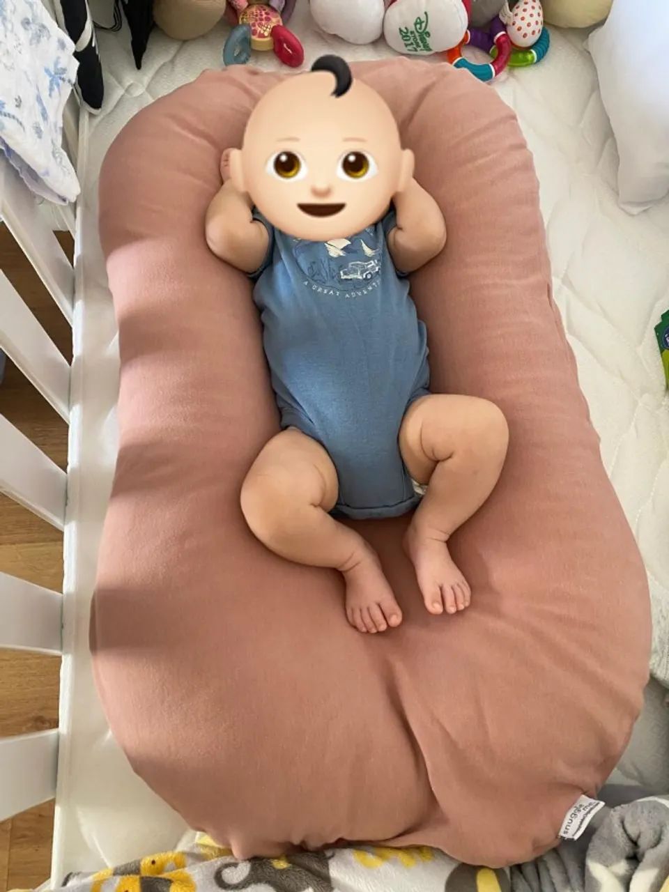 Ninho bebe importado Snuggle Me