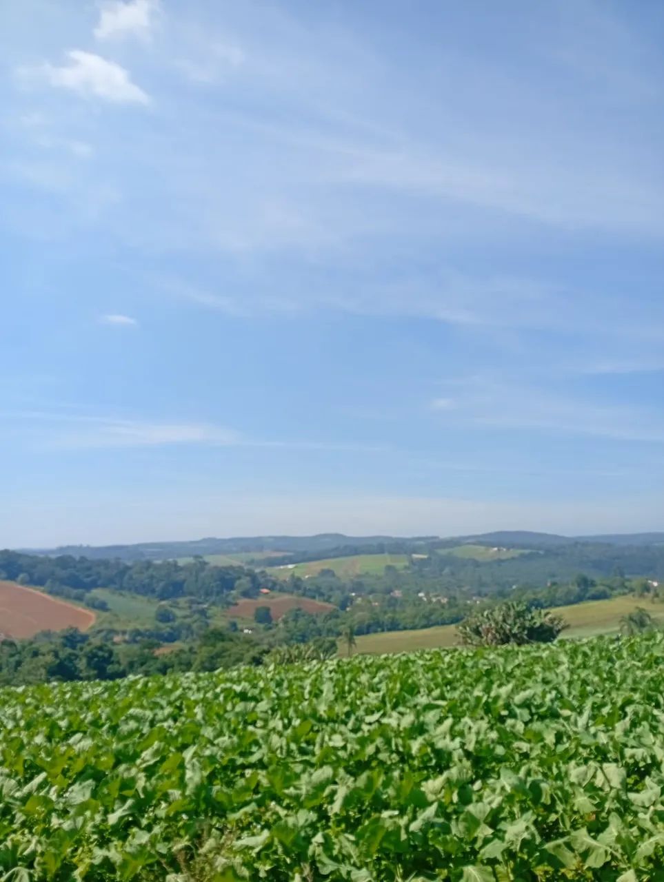 Terrenos com Preço Justo e Muito Potencial - Foto 4