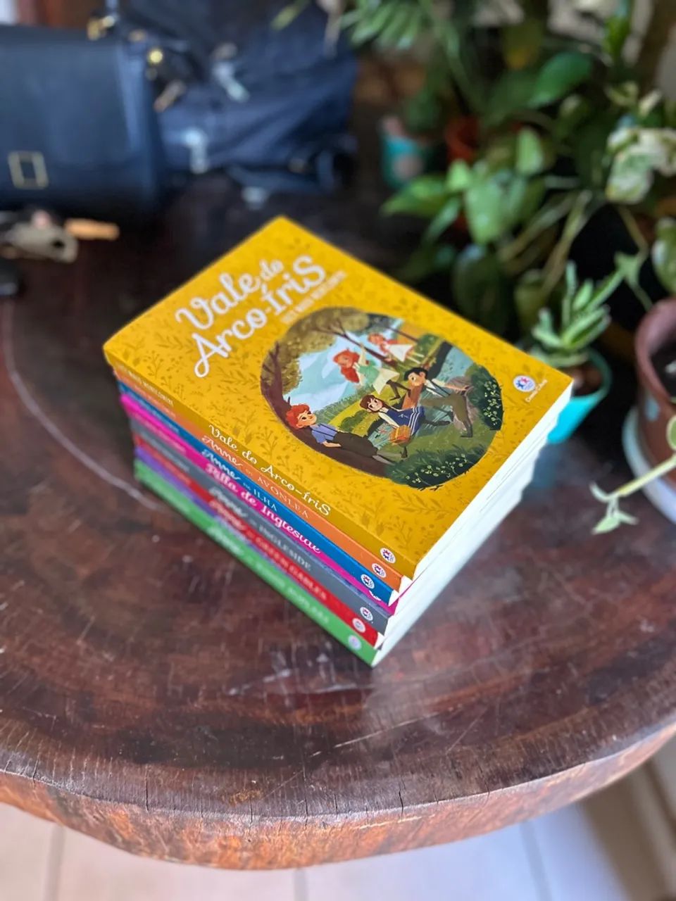 Livros Anne de Green Gables - Edição Completa - Foto 3