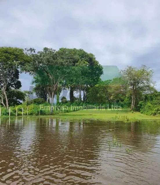 Vende-se terreno / lago do Macurany, Parintins Amazonas. - Foto 5