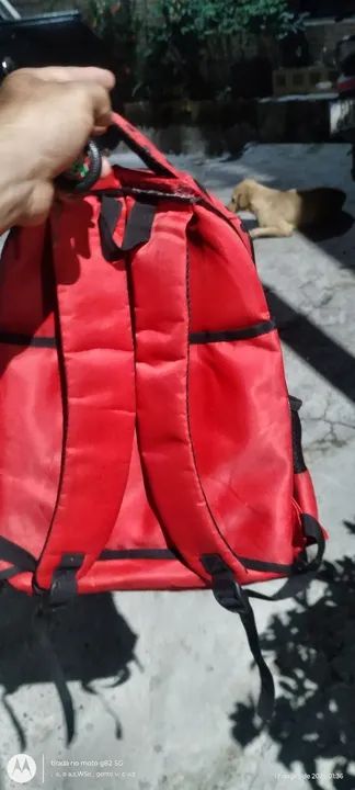 Mochila Ladybug - Usada  - Foto 2