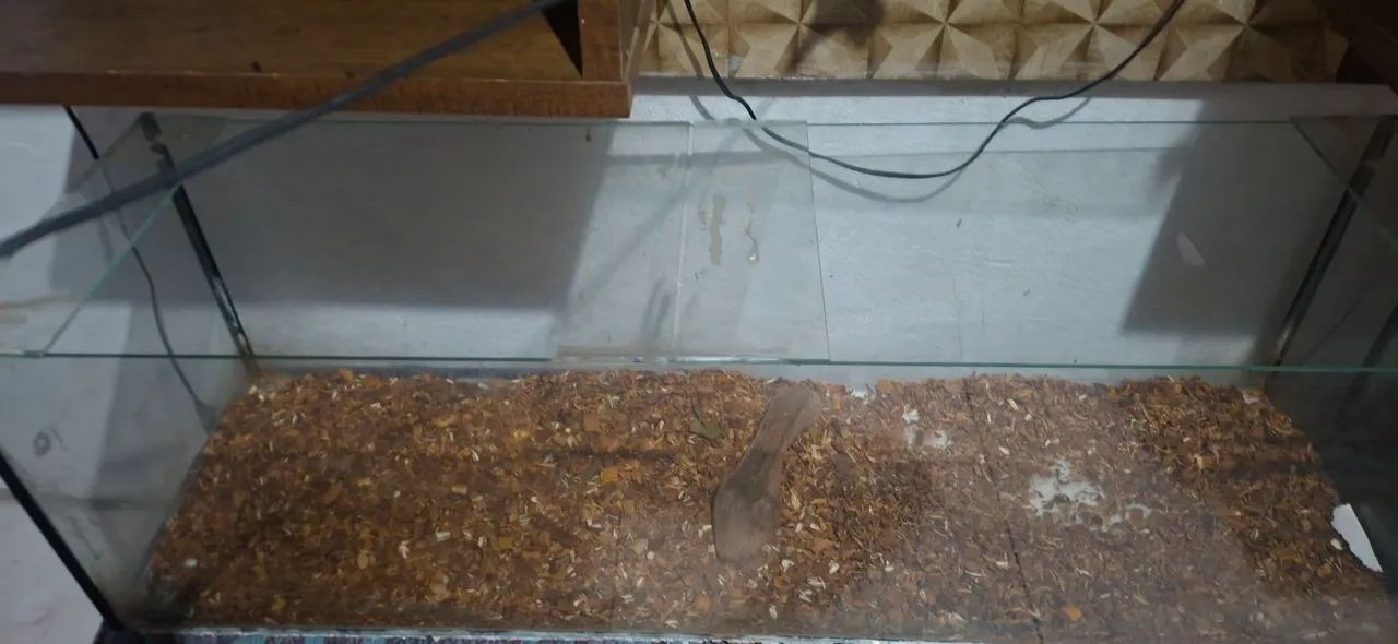 Vendo terrario para hamister de 1metro por 30