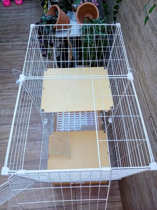 A Casinha para Coelho e Roedores - Conforto, Higiene e Diversão em 3 Níveis - Foto 3