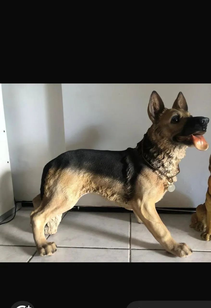 Escultura de Pastor Alemão em resina - Decoração para sua casa
