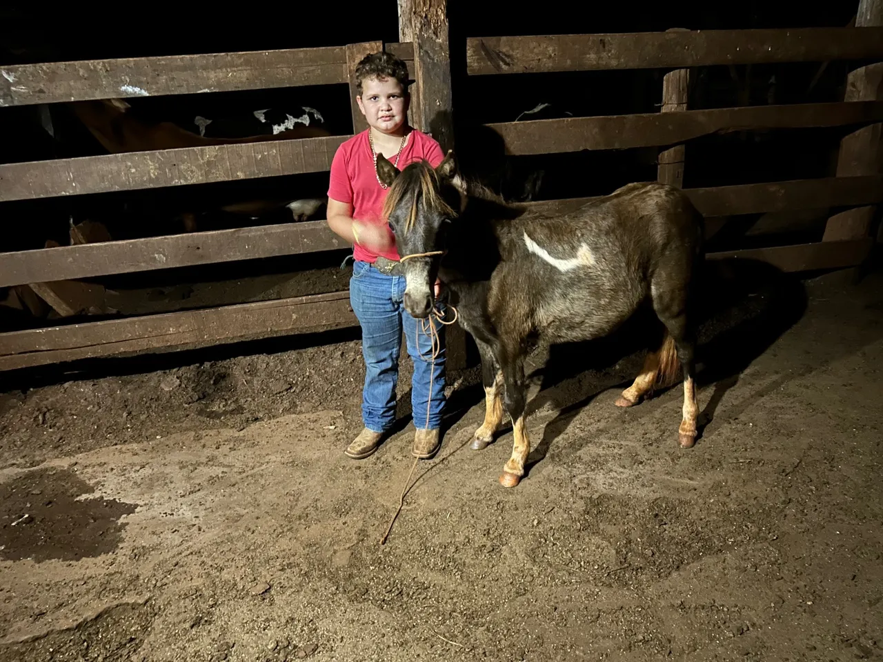 Mini Cavalo - Amigão para Crianças!