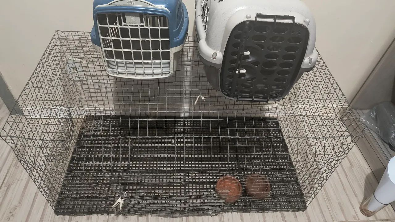 Gaiola para coelhos ou outros roedores!