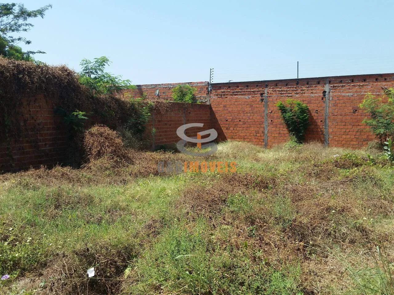 LOTE DE TERRENO ALUGUEL - Foto 2