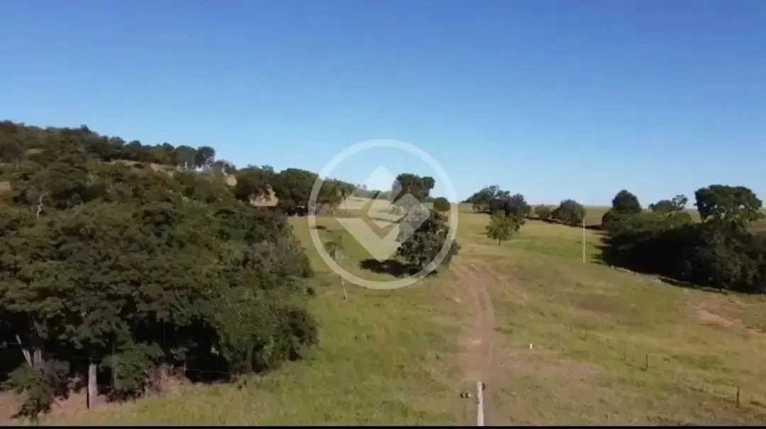 Fazenda com 21 Alqueires Município de Pontalina 128 km de Goiânia codigo: 130905