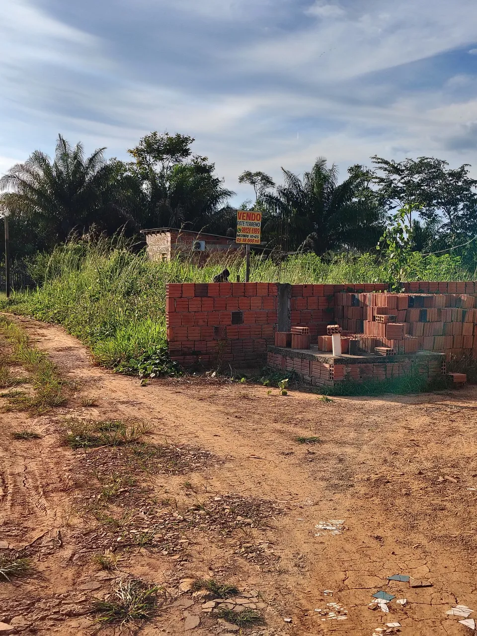 Terreno no ramal da cooperativa (floresta Sul)
