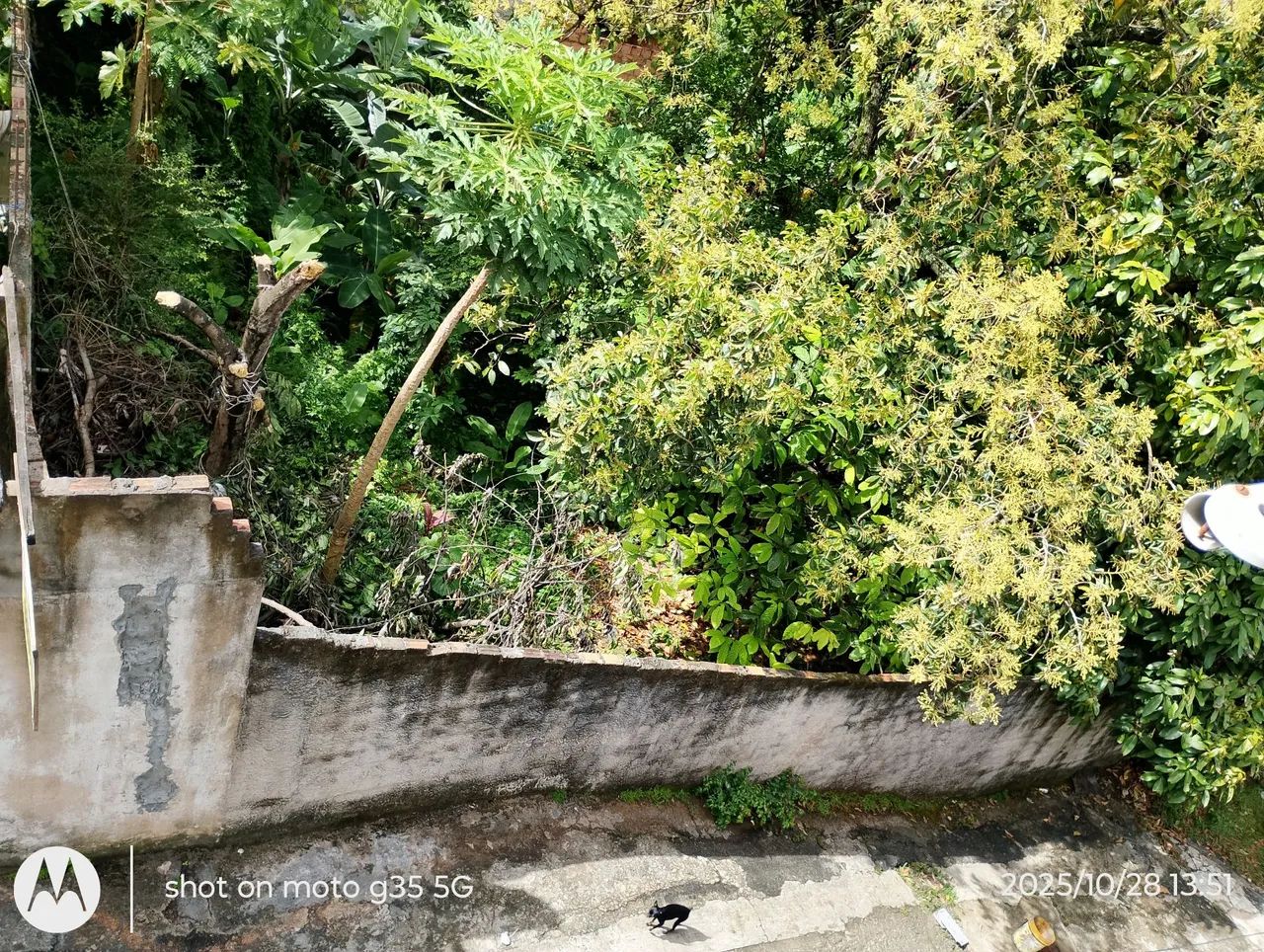 Foto - Salvador - Mussurunga