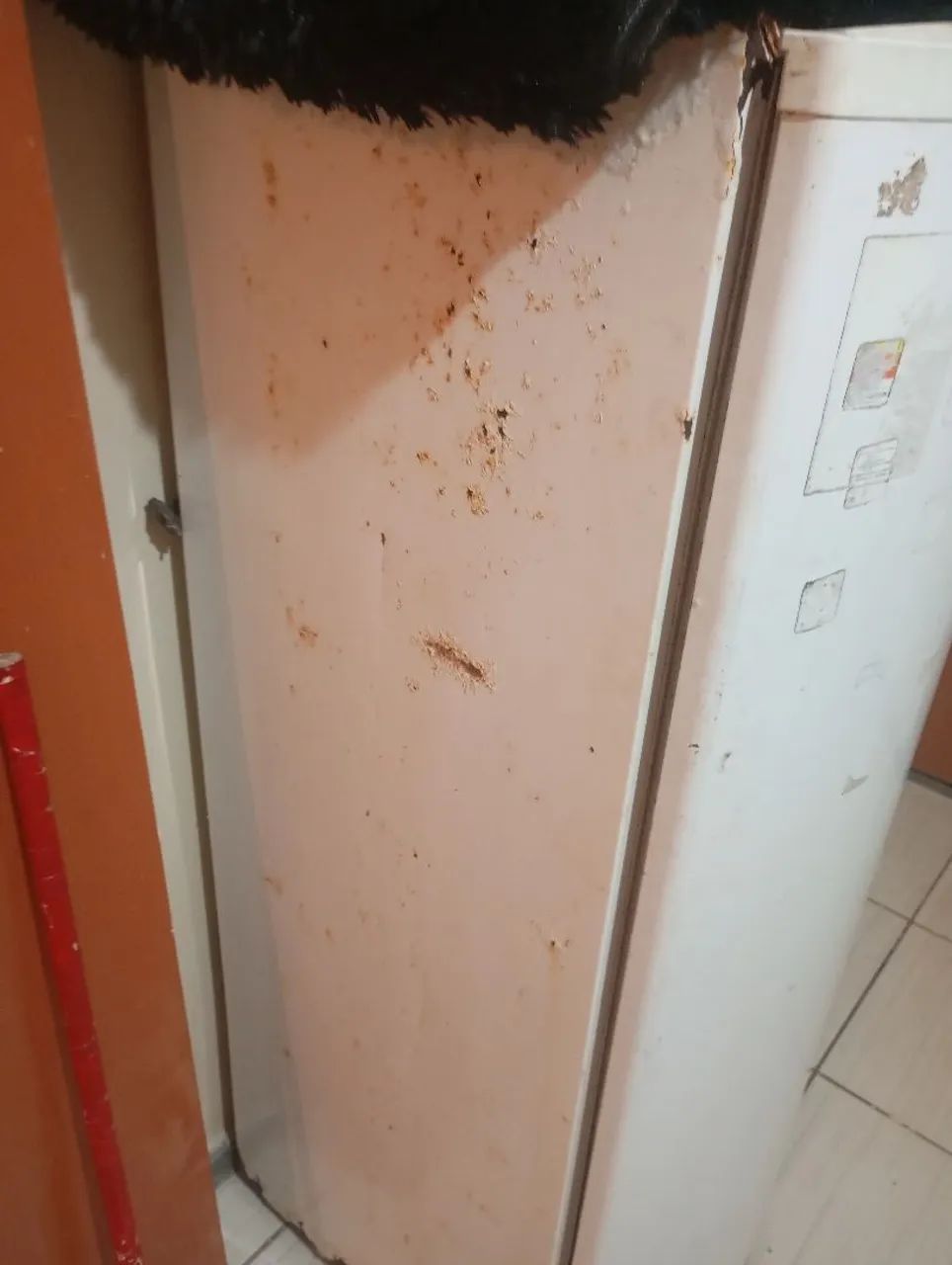 Geladeira  - Foto 4