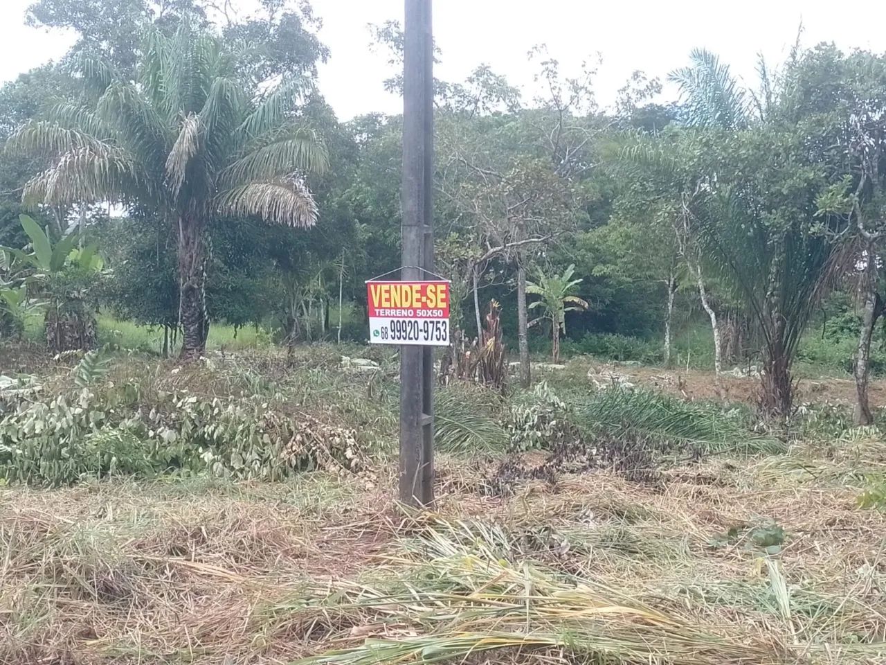 VENDE-SE TERRENO(CHÁCARA)  - Foto 5