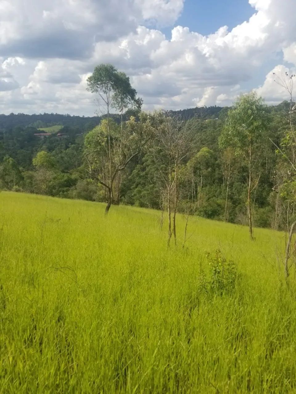 Foto - Franco da Rocha - Aldeia Ivoturucaia