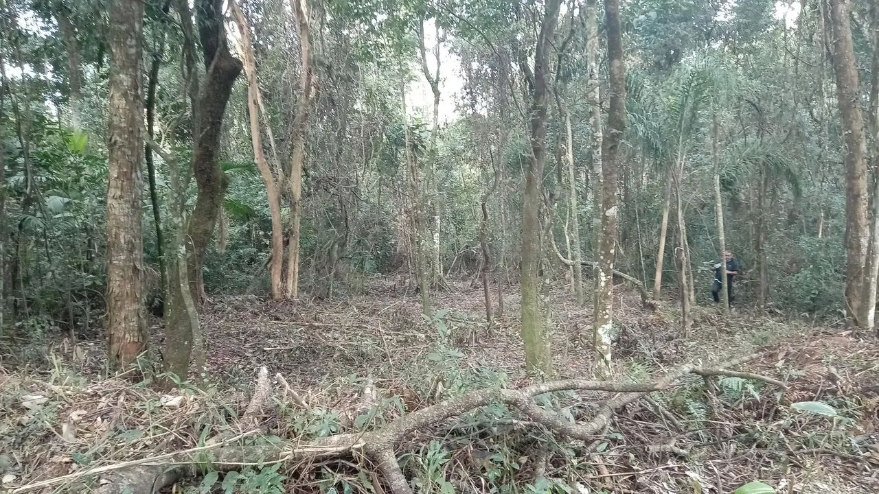  Lote para chácara Aracariguama  - Foto 5
