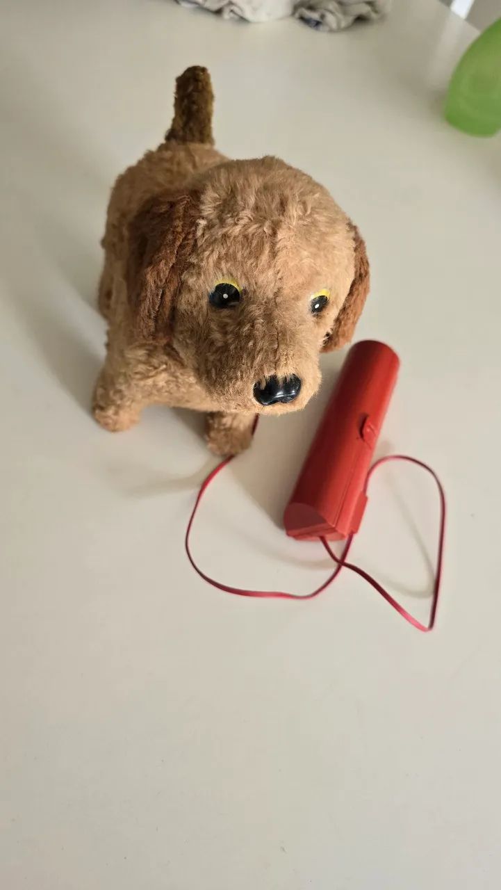 Pipi o cachorro da estrela de 70