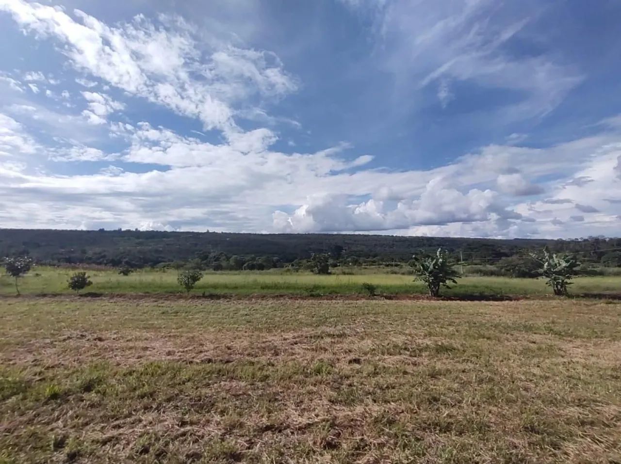Oportunidade! Chácara na região de Planatina-DF - Foto 3