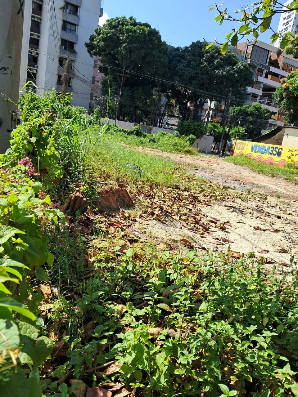 Terreno  - Foto 3