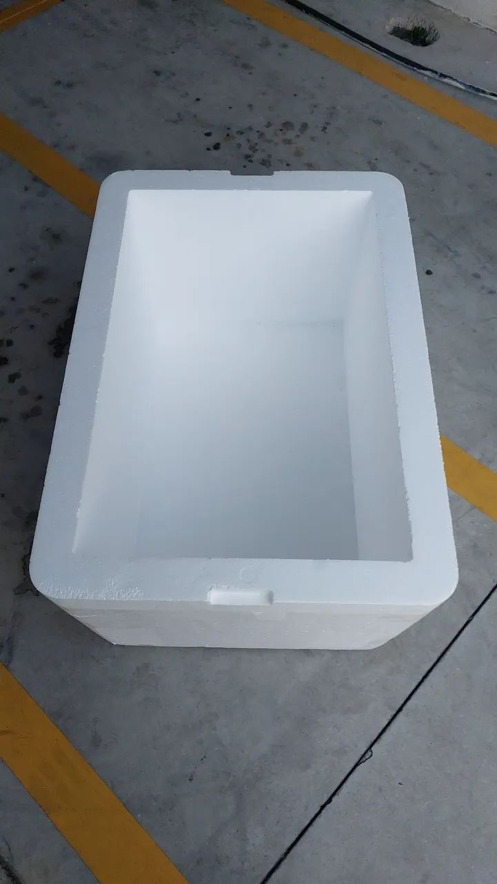 Caixa de isopor - Foto 2