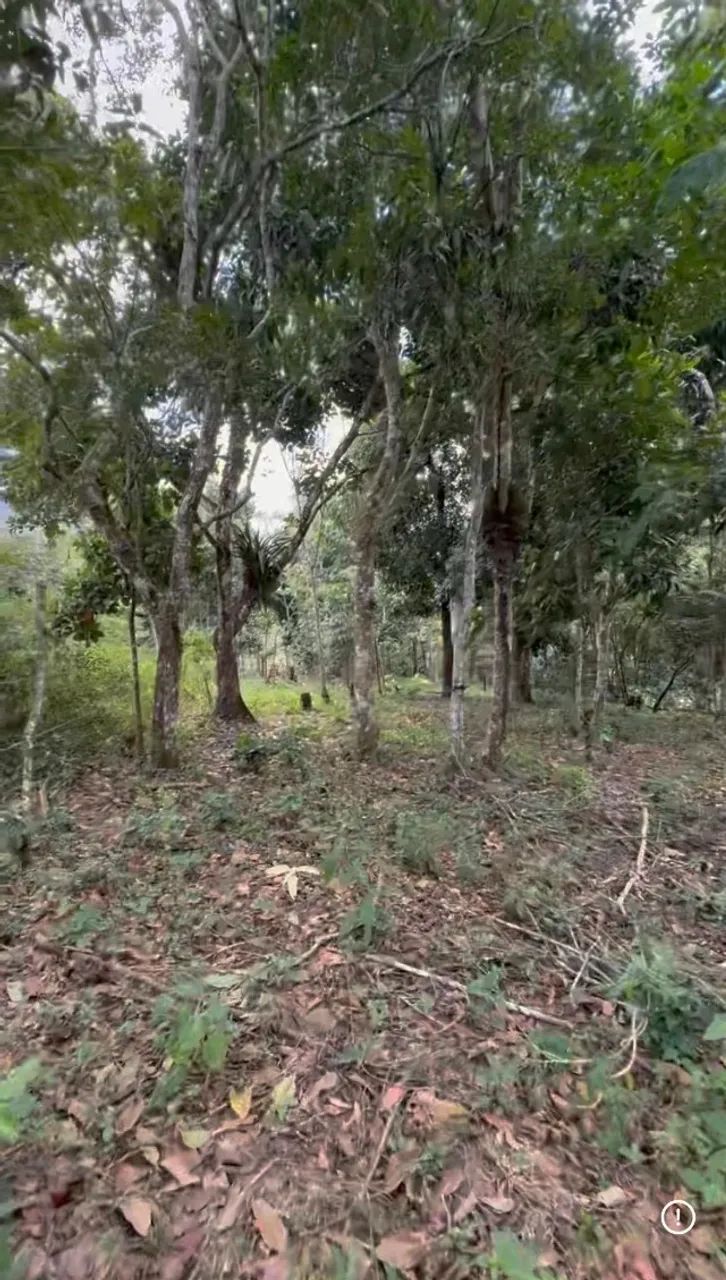 Terreno em Guaramiranga - Foto 4