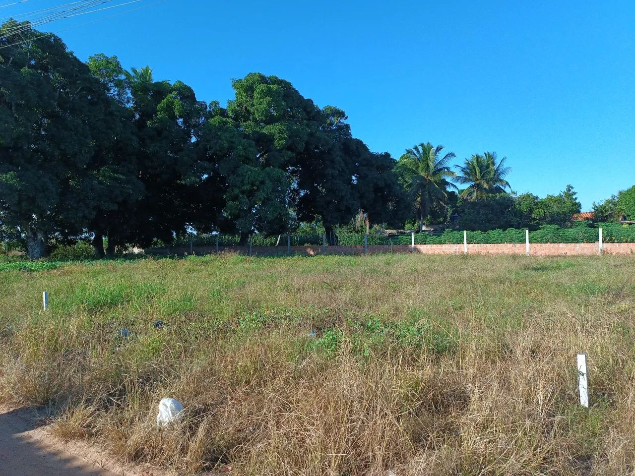 Lotes a venda - Foto 4