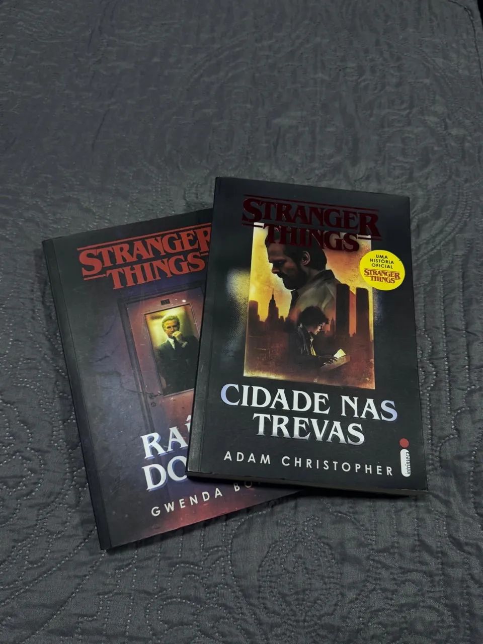 Livros: Stranger things 