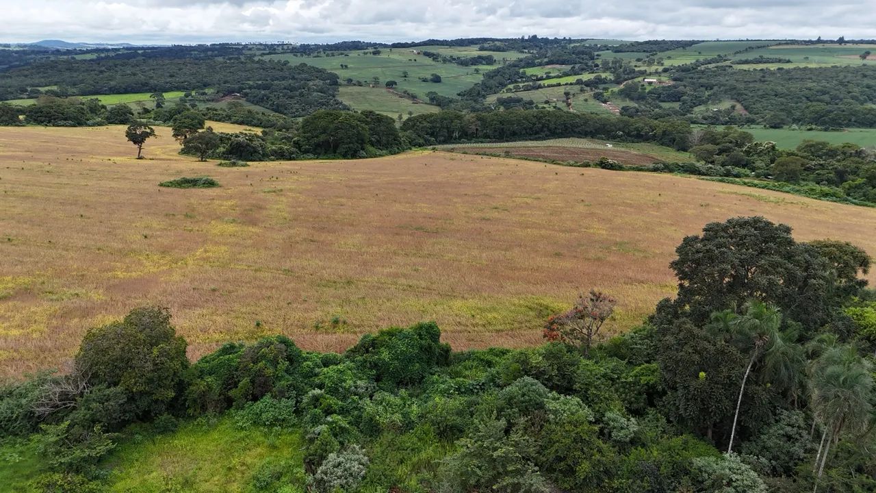 Fazenda de 70 Alqueires  - Foto 3