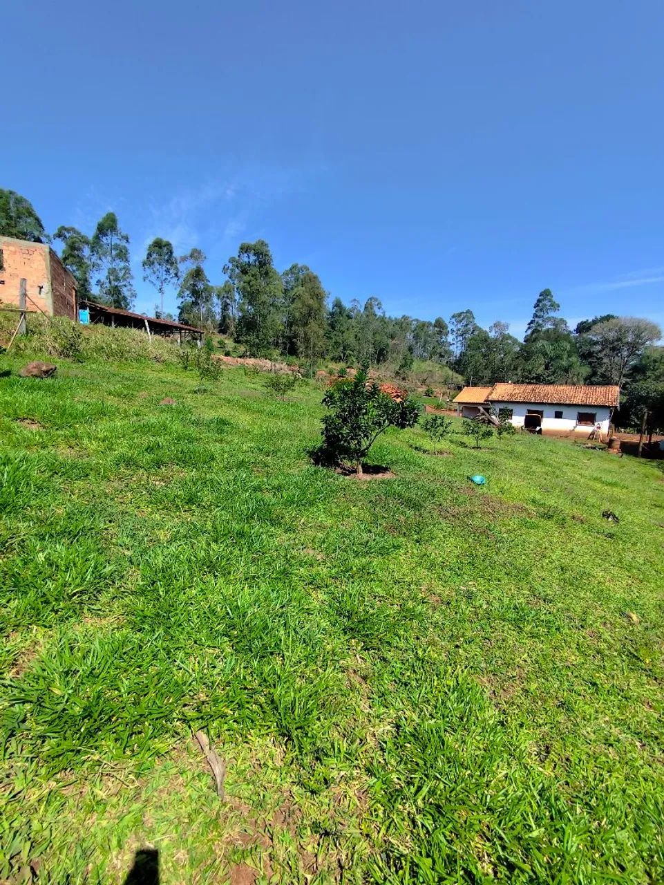 Sitio assentamento 5 alqueires 
