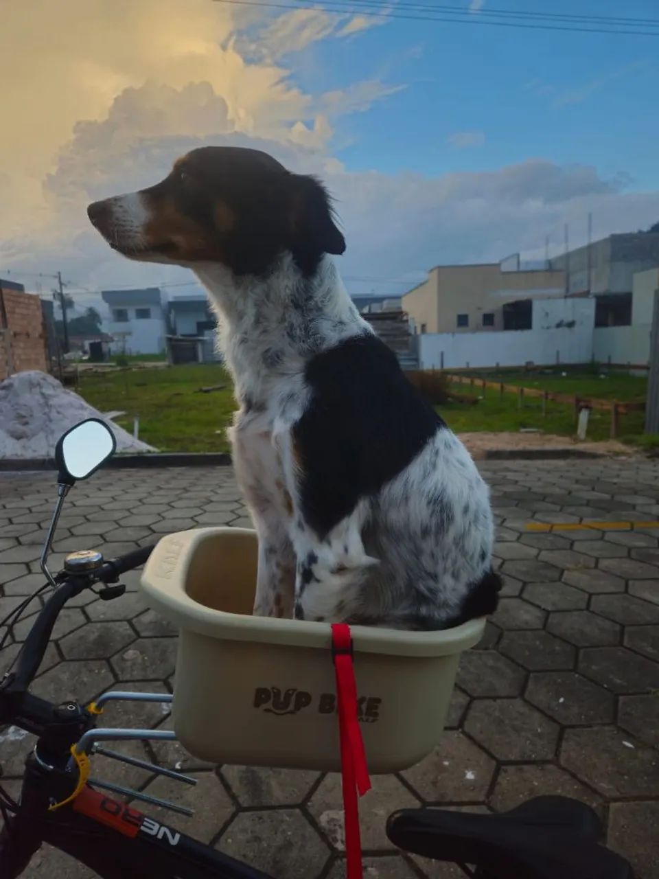 Cadeirinha bike pet
