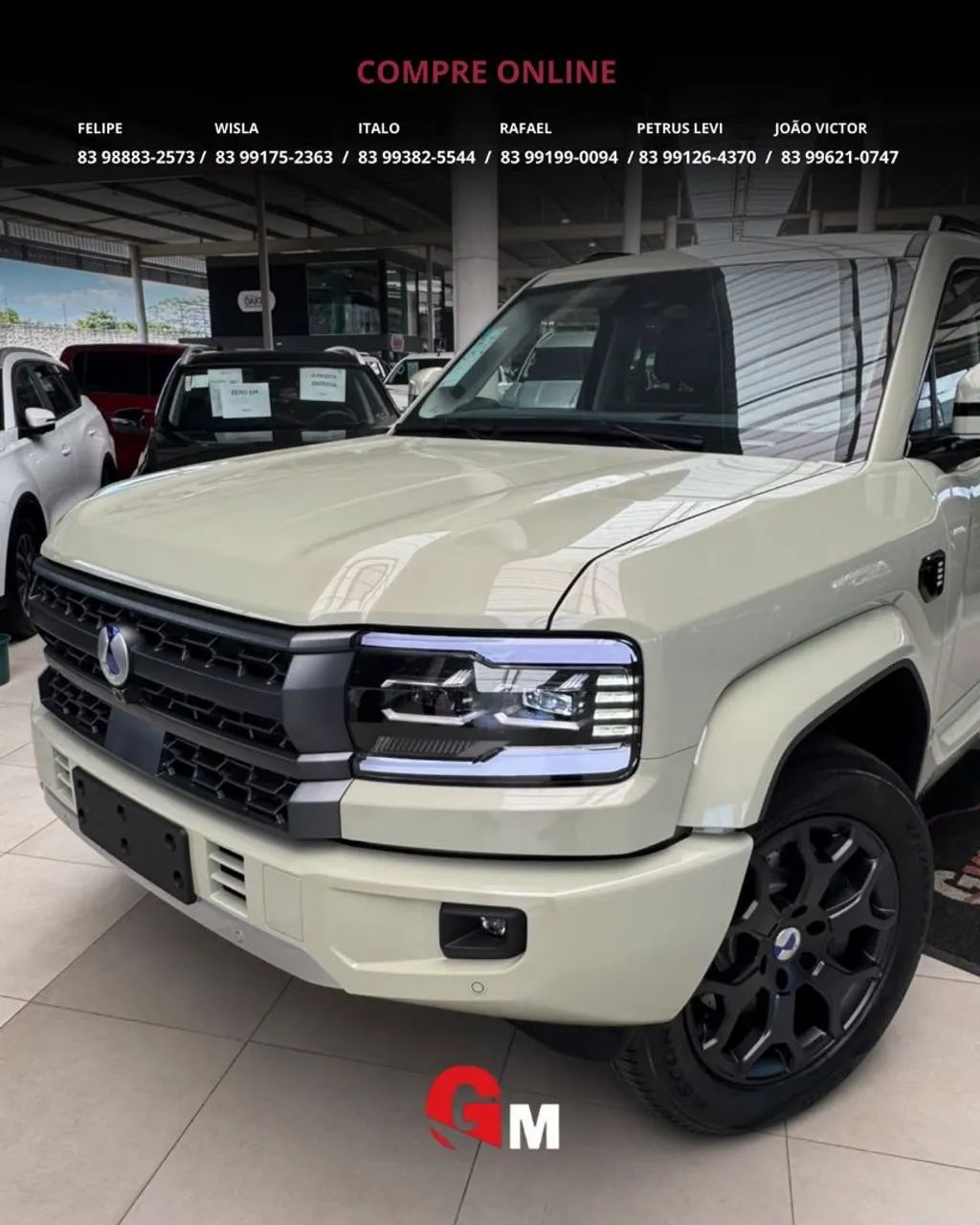 Denza B5 4WD, foto 5 de 20
