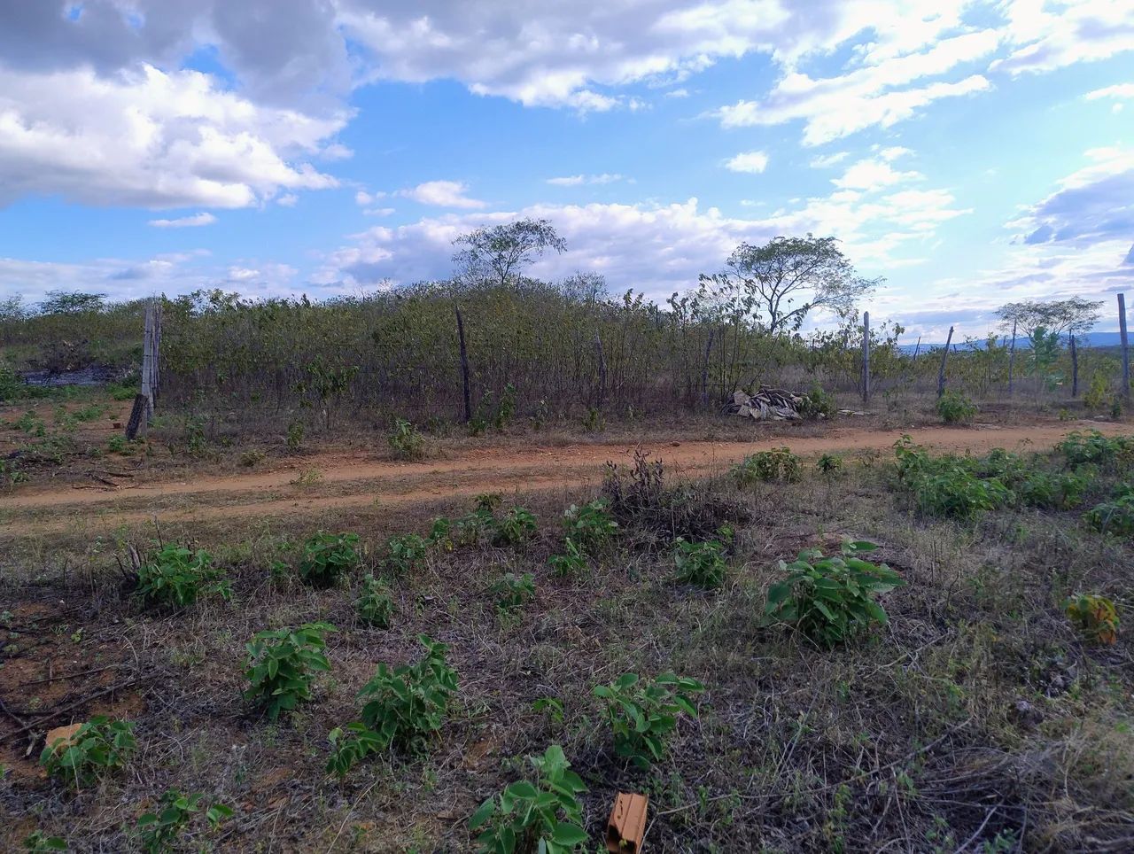 Venda  - Foto 5