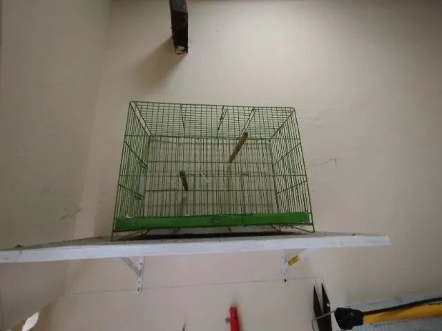 Gaiolas  - Foto 2