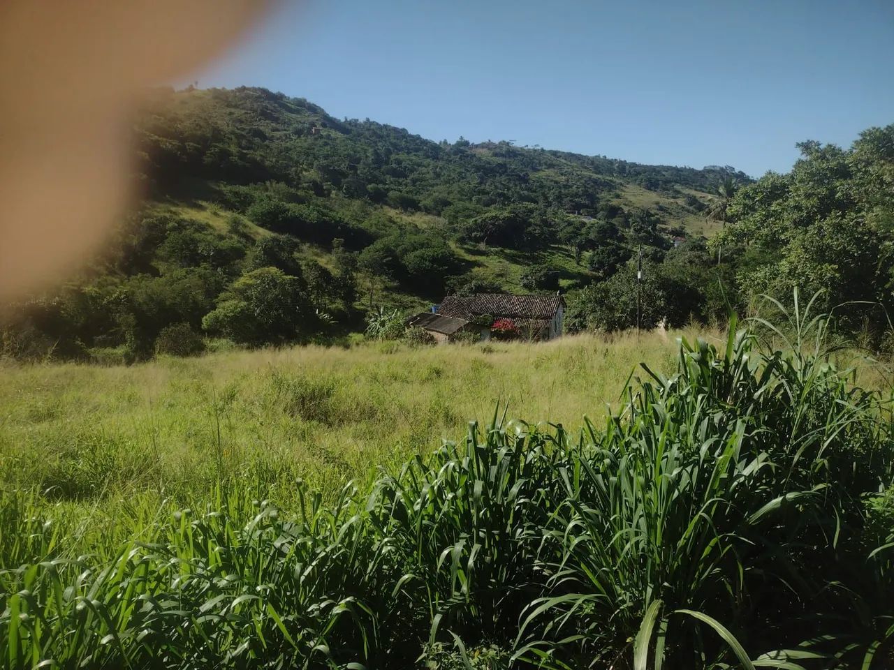 Sitio paraíso em Pombos - Foto 3