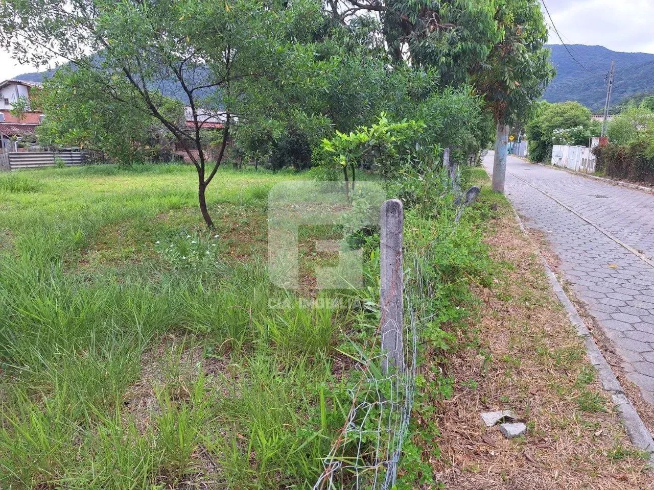 TERRENO RESIDENCIAL NO RIO VERMELHO - Foto 3