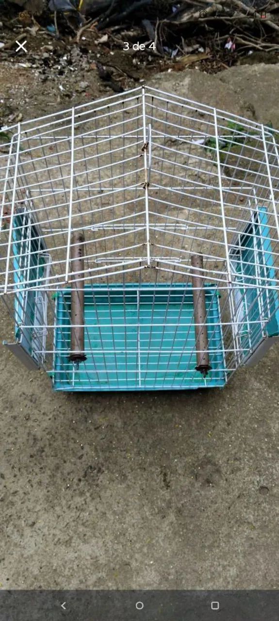 Gaiola calopsita  - Foto 3