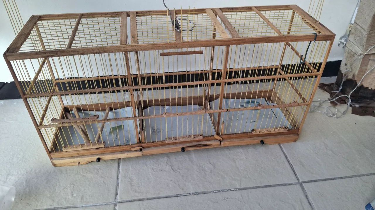 Gaiola - Foto 4